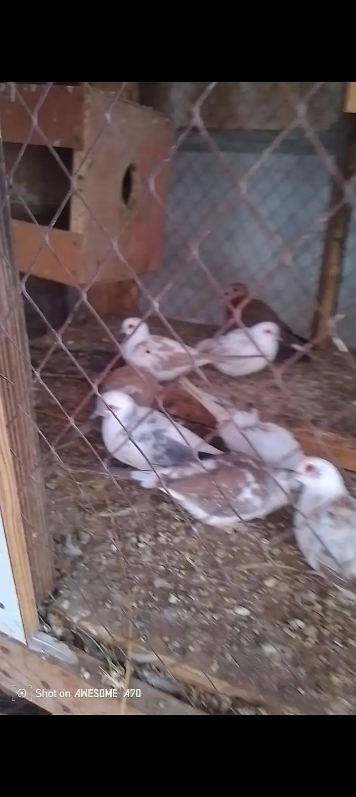 for sale call number 03247419417 — photo 3
