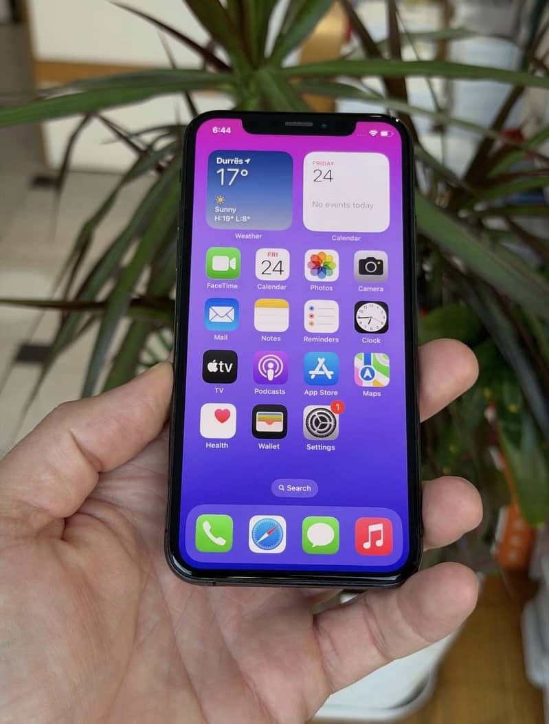 Apple iPhone XS 1