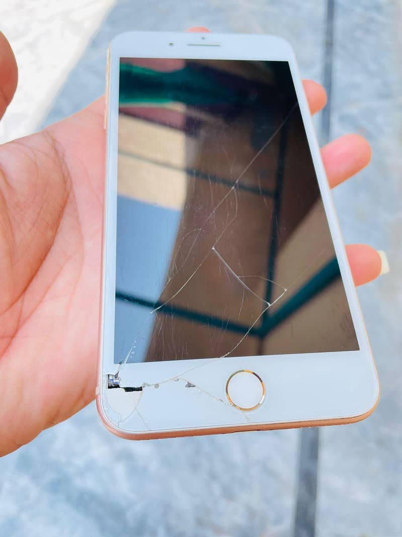 Apple iPhone 8 Plus 1