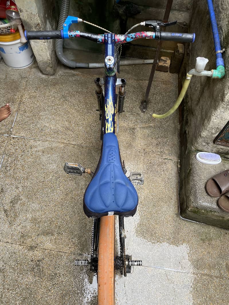 Bicycle 1