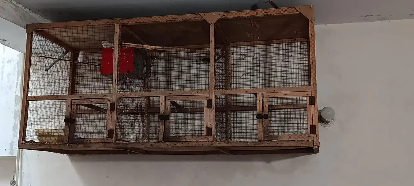 Finches Healthy Active Plus Cage For Sale — photo 3