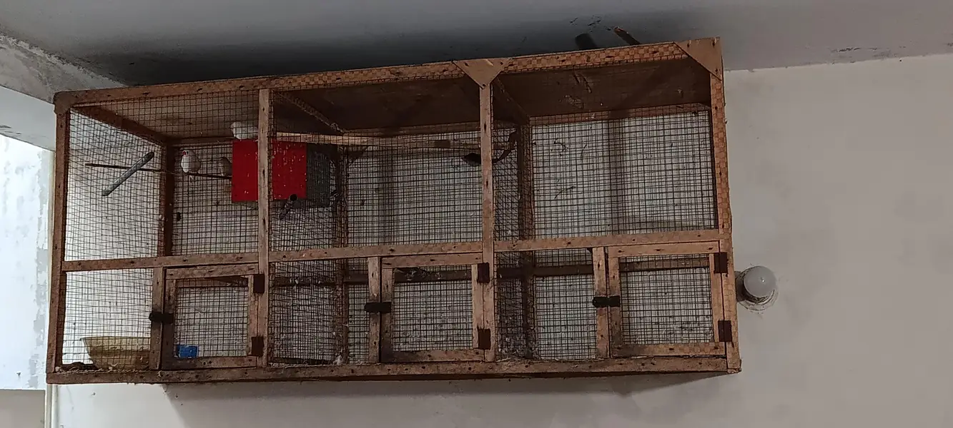 Finches Healthy Active Plus Cage For Sale — photo 4