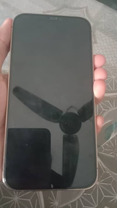 Apple iPhone 12 Pro Max