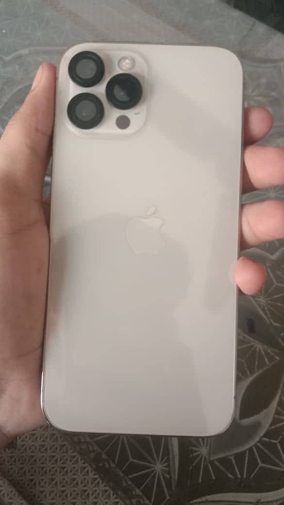 Apple iPhone 12 Pro Max 1