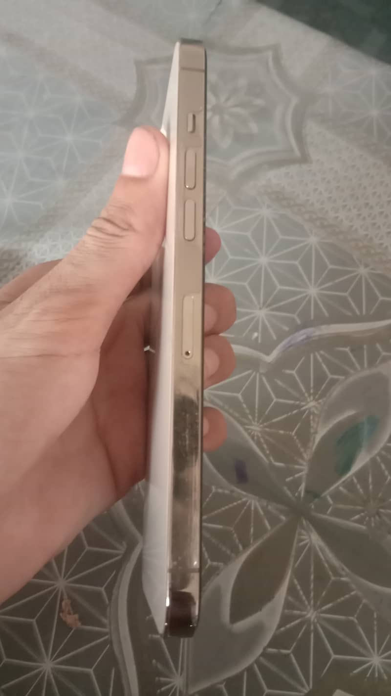 Apple iPhone 12 Pro Max 2