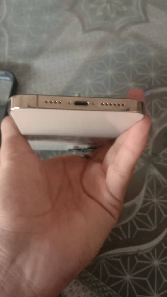 Apple iPhone 12 Pro Max 3