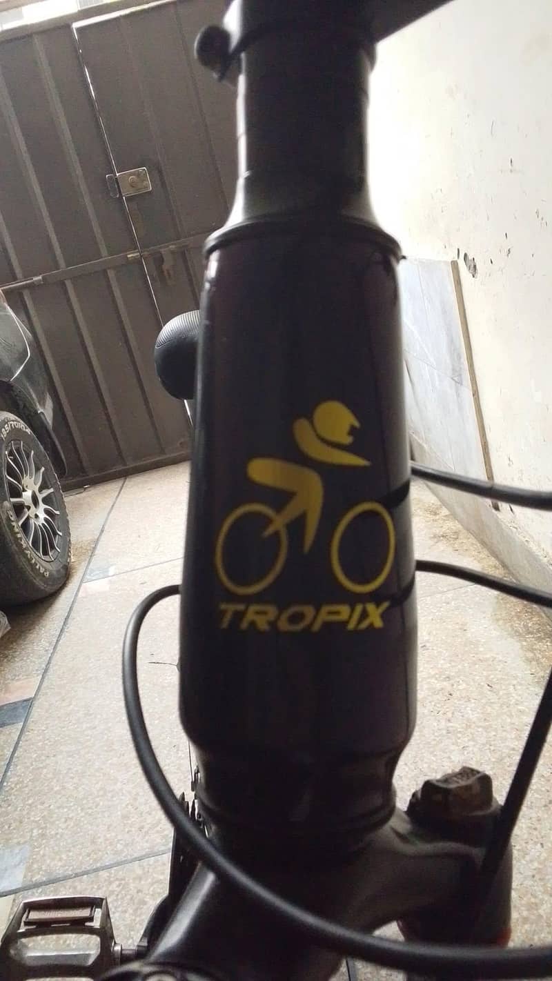 Tropic cycle 10