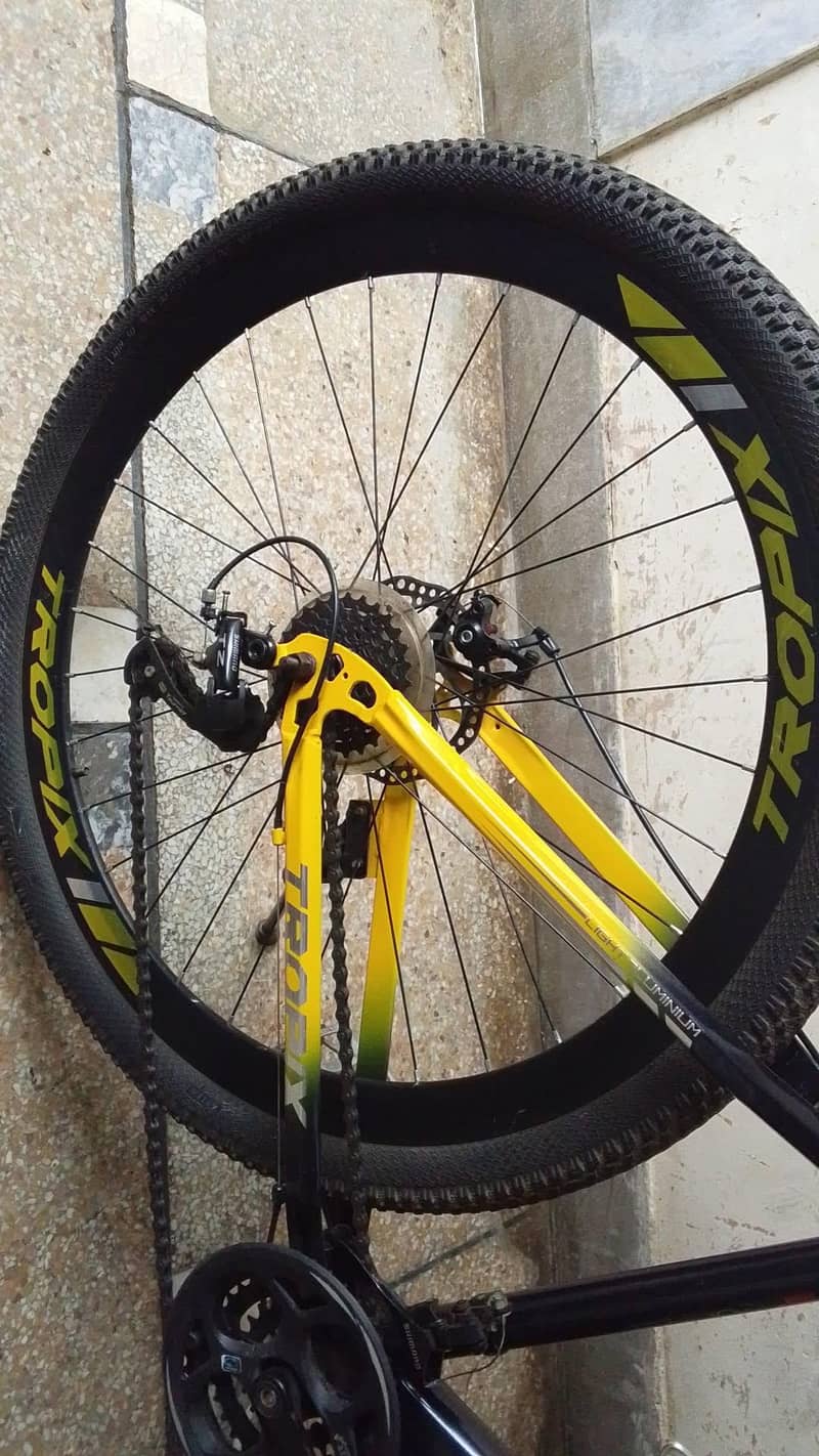 Tropic cycle 11