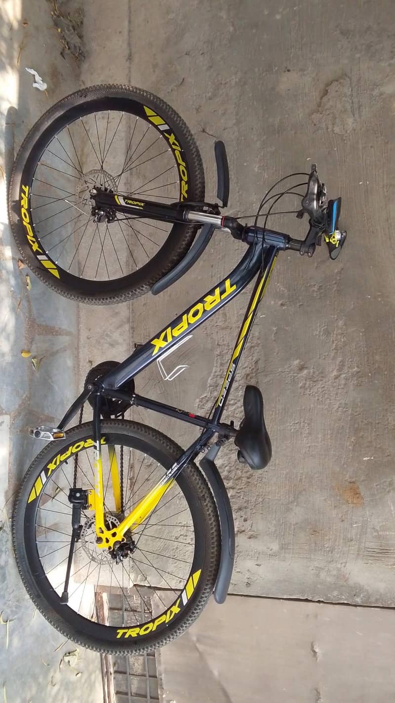 Tropic cycle 12