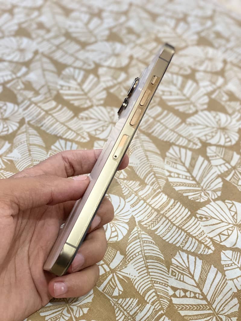 Apple iPhone 13 Pro Max 1