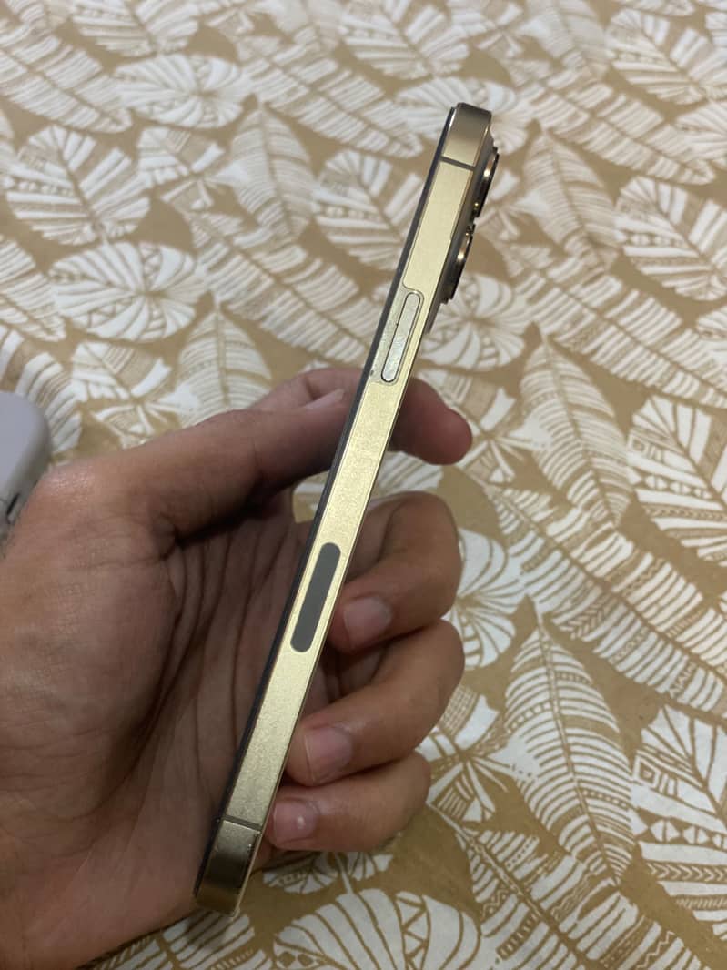 Apple iPhone 13 Pro Max 4