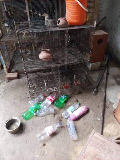 8 portion master folding cage 1.5 by 2 per portion