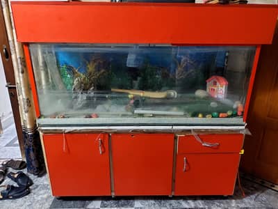 Fish Aquarium  for sale