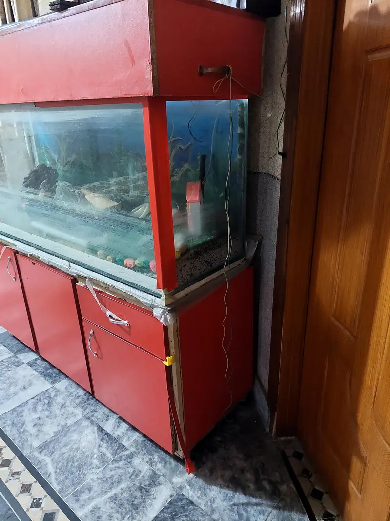 Fish Aquarium  for sale — photo 2