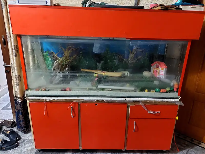 Fish Aquarium  for sale — photo 3