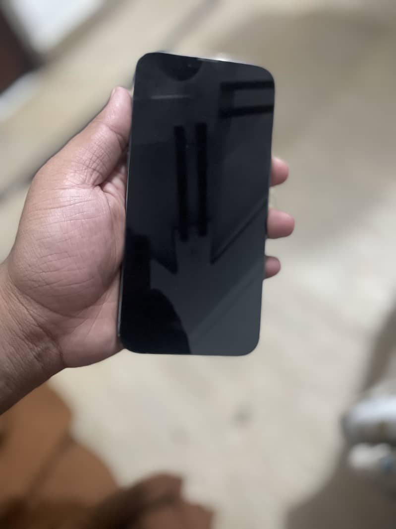 Apple iPhone 13 Pro Max 2