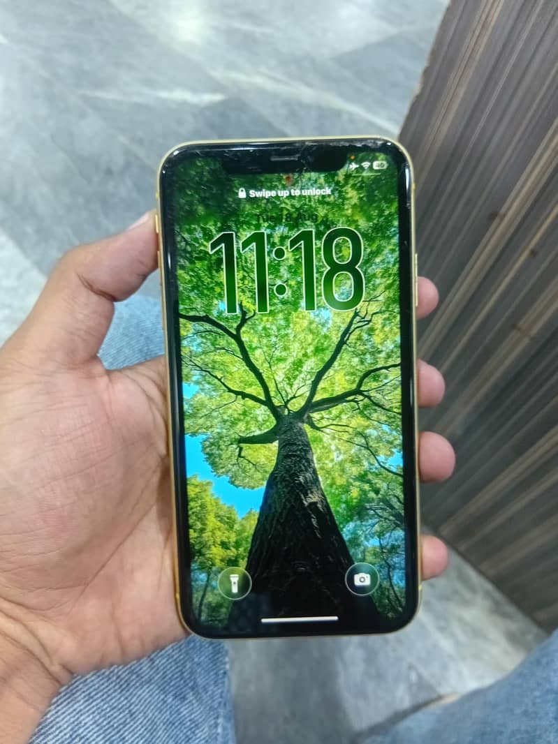 Apple iPhone 11 1