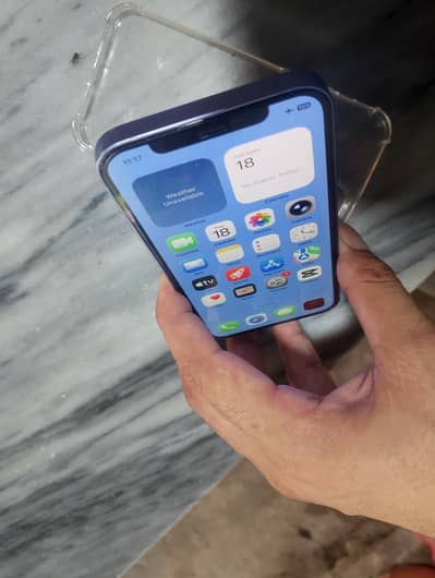 Apple iPhone 12