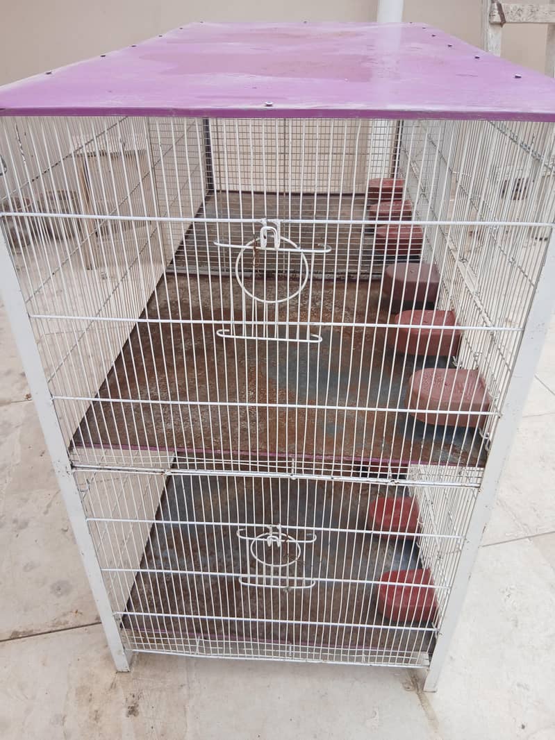 4 Portion Angle Cage 6