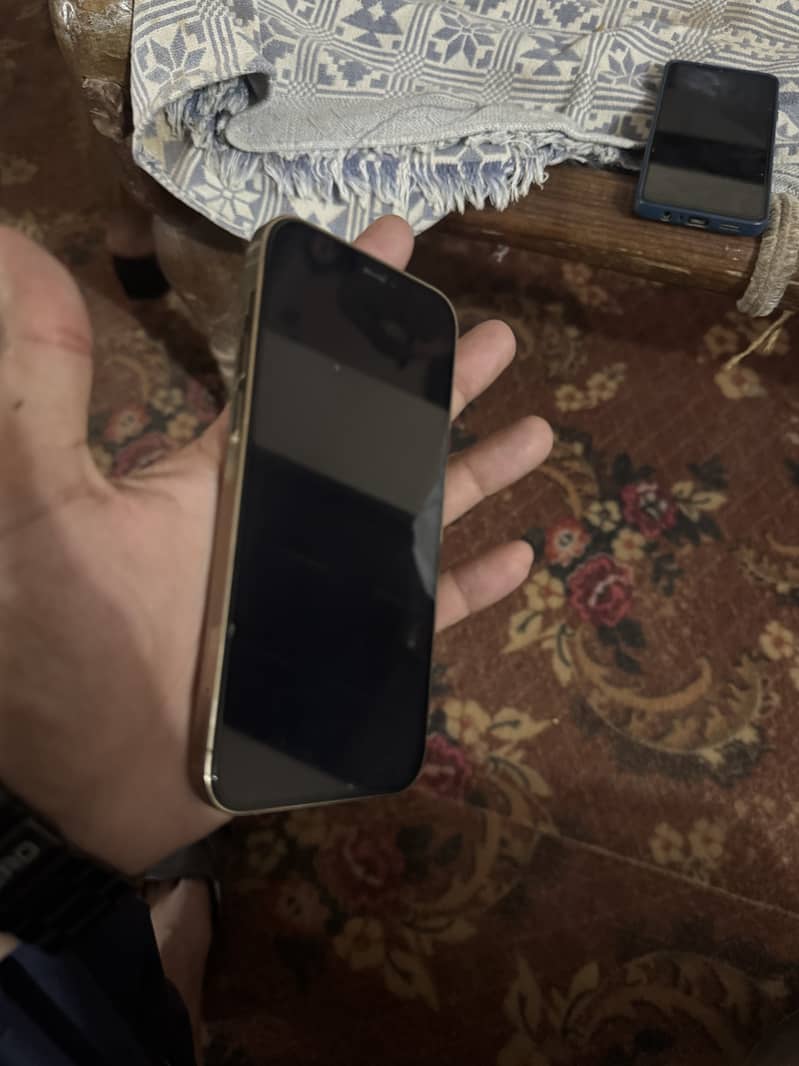 Apple iPhone 12 Pro 2
