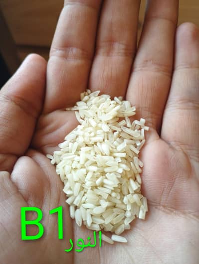 Al Noor ( Arshman B1 ) Rice