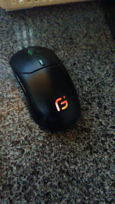 premium class computer and laptop mouse Rs 2000