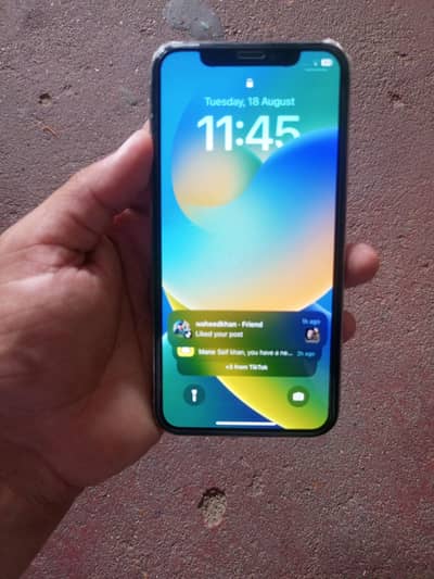 Apple iPhone X