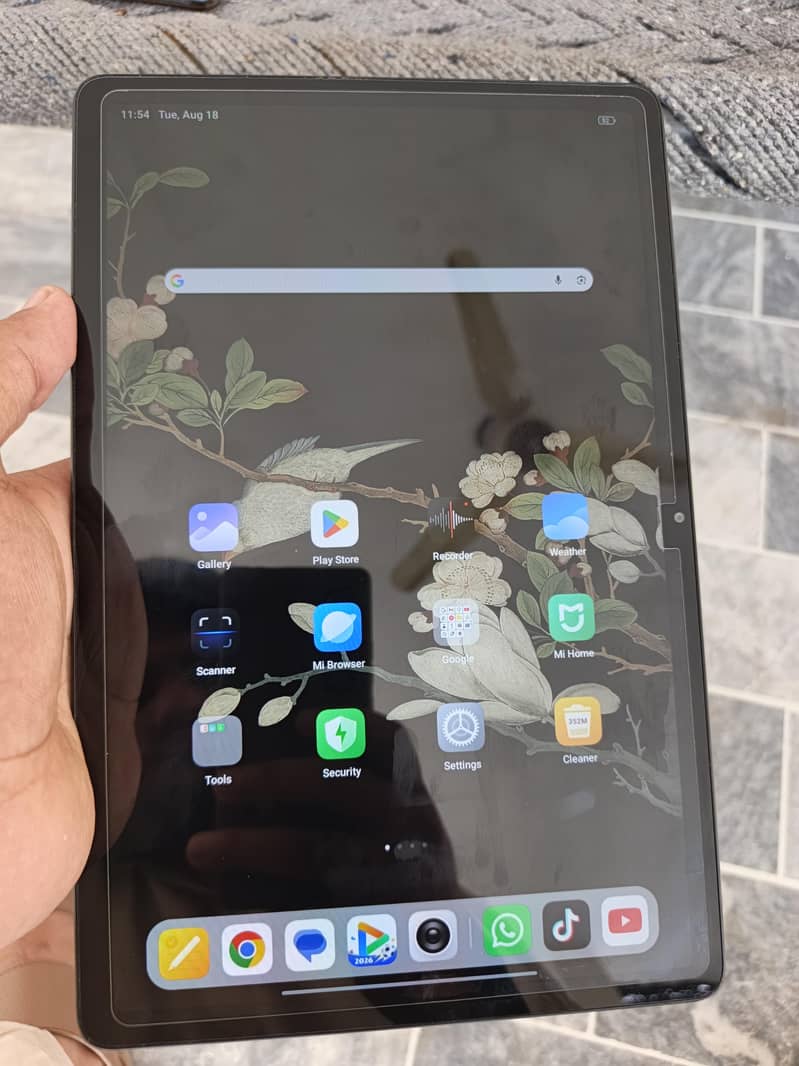 Xiaomi Other Model 1