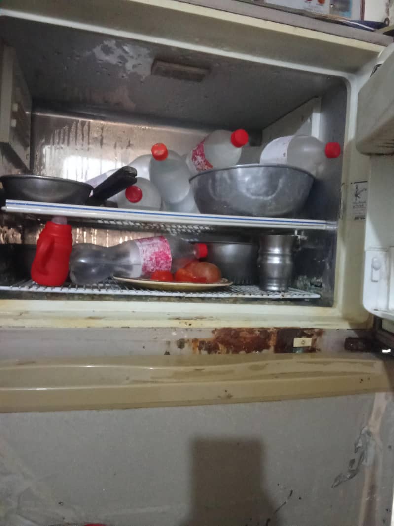 frige 1