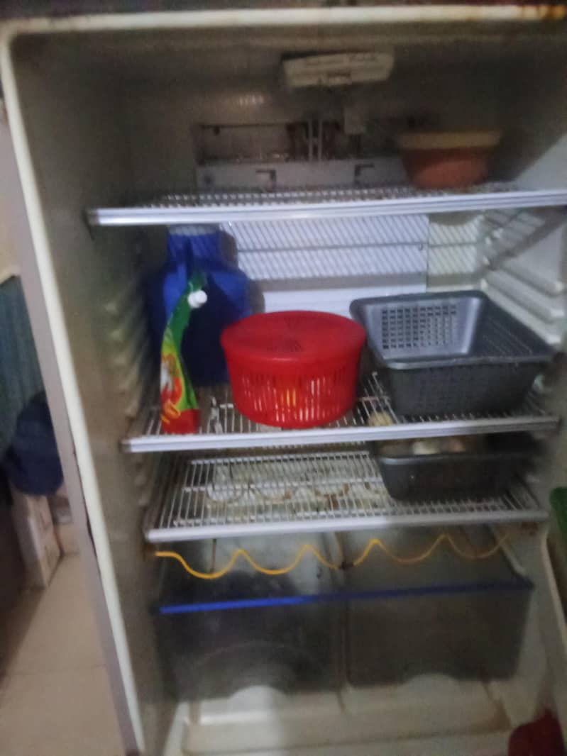 frige 2