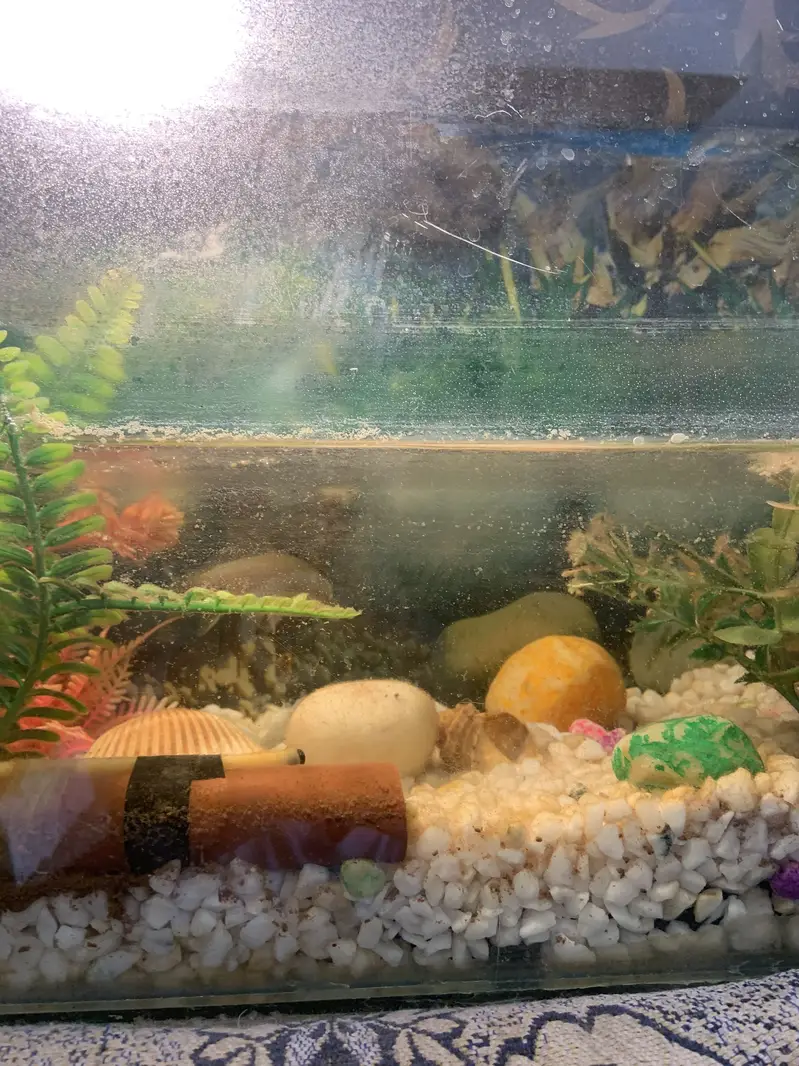 Fish Aquarium for sale — photo 3