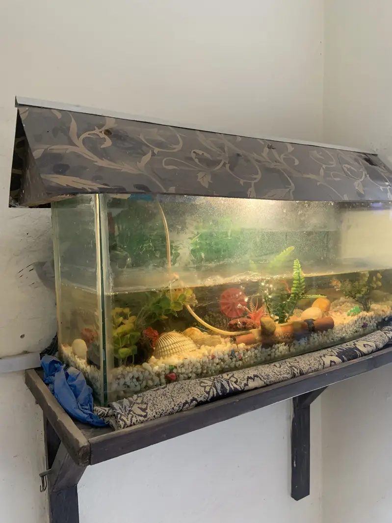Fish Aquarium for sale — photo 2