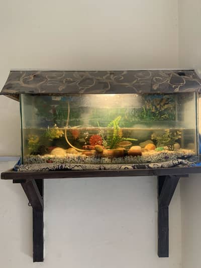 Fish Aquarium for sale