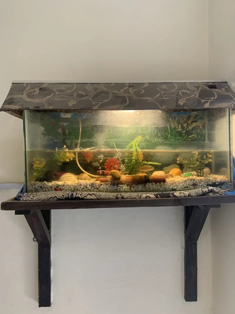 Fish Aquarium for sale