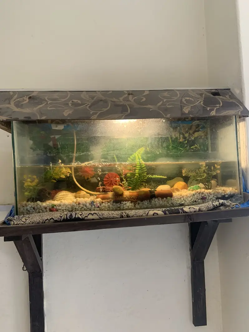 Fish Aquarium for sale — photo 5