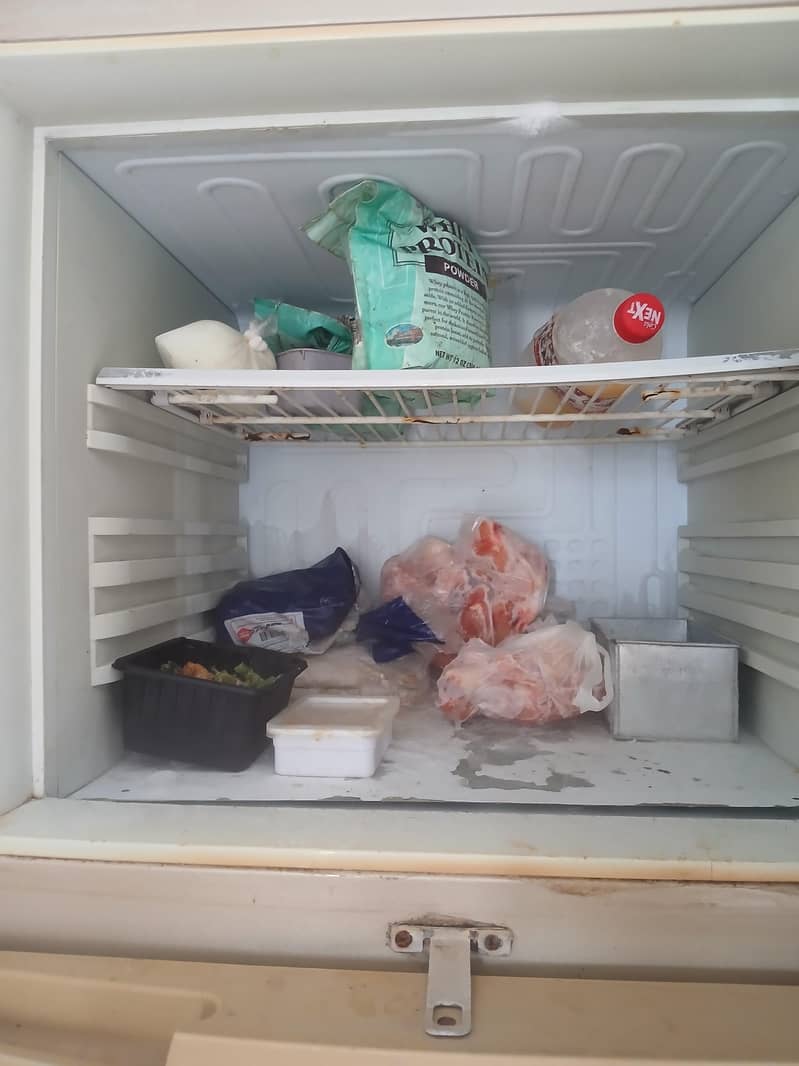 pel refrigerator normal condition 1