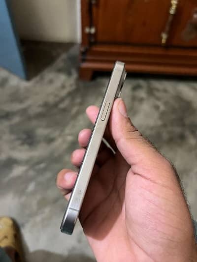 15 pro dual sim pta