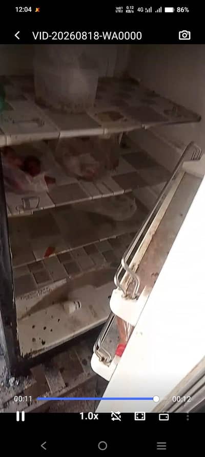 dawlanc fridge