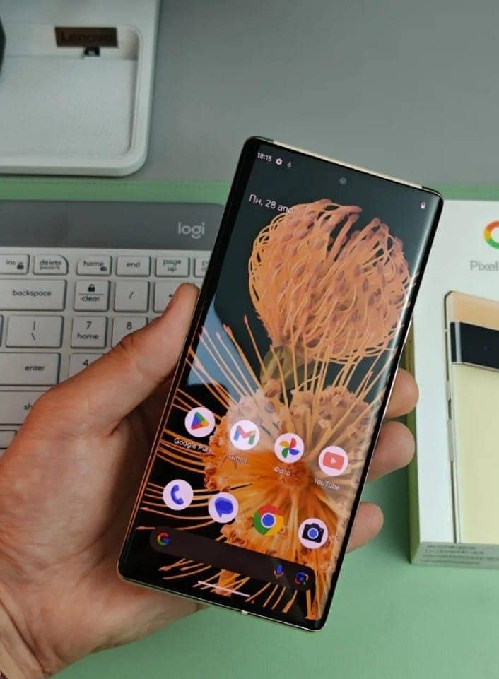 Google Pixel 6 Pro 1