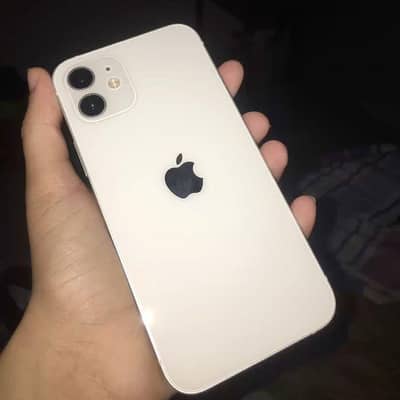 iPhone 12 white colour