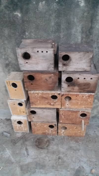 breading box for birds