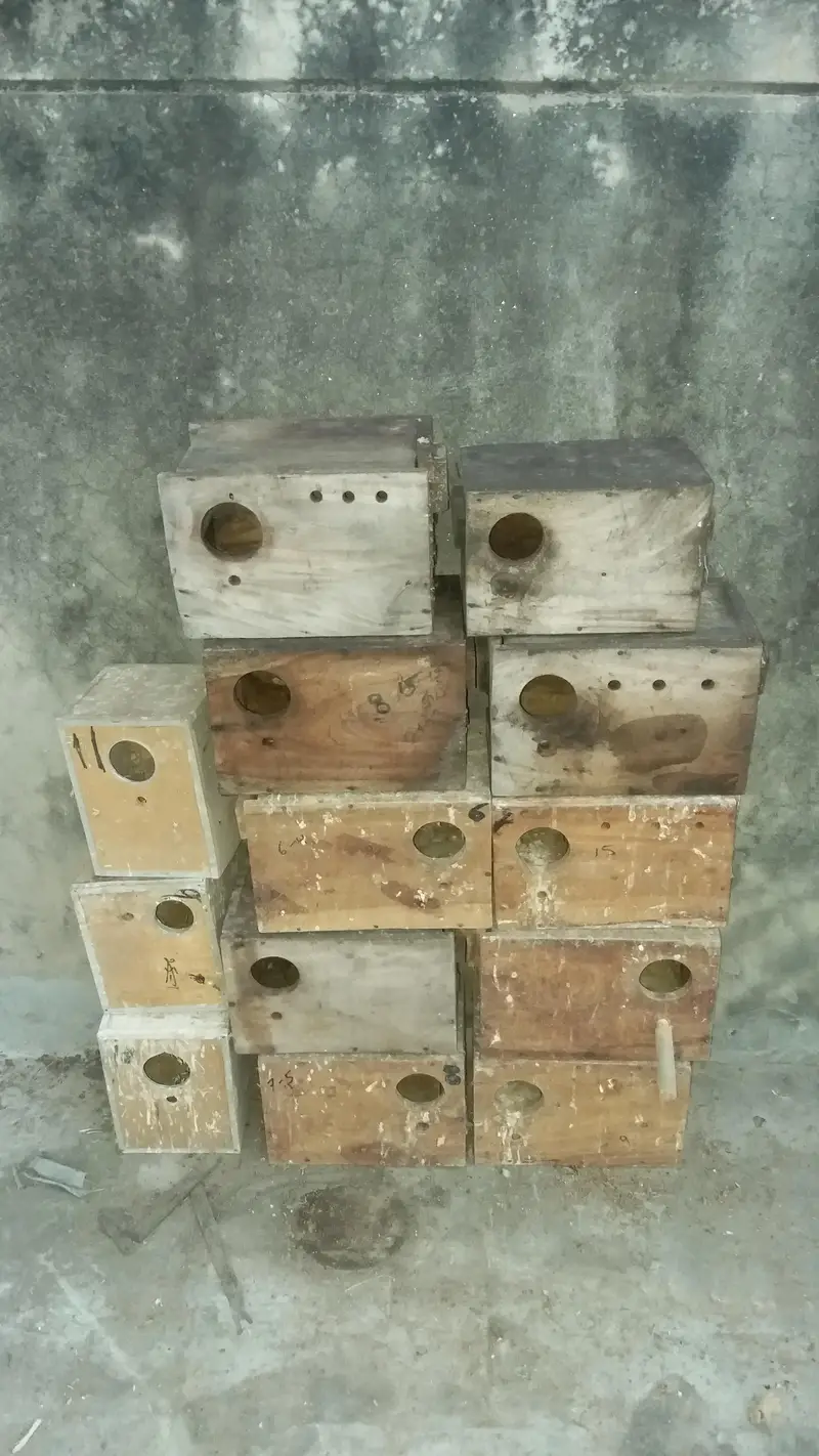 breading box for birds — photo 2