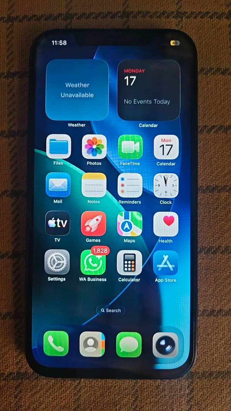 Apple iPhone 12 Pro Max 1
