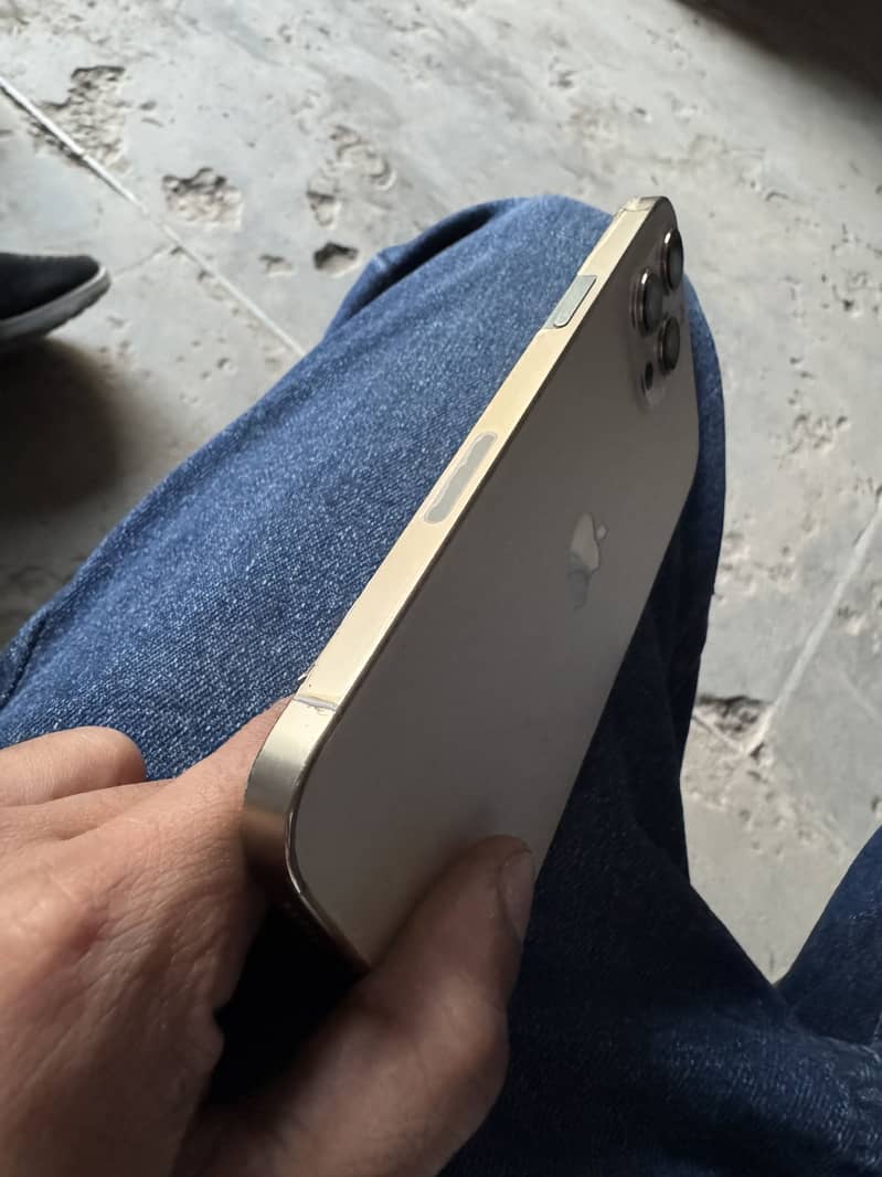 Apple iPhone 12 Pro Max 0