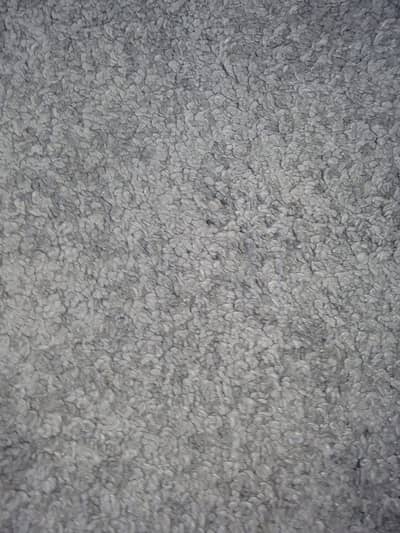 Best grey soft carpet.