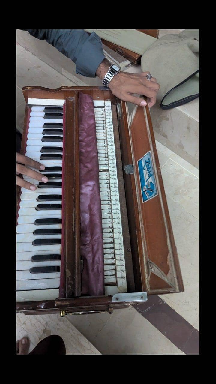 harmonium 11