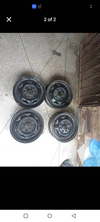 13 inch Stephni 03082587804