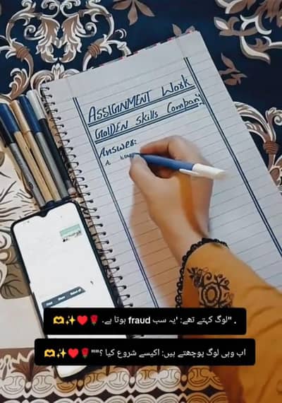 professional assignment writer