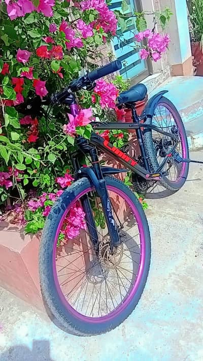 Limit Japani Brand Bicycle 24~26 inch in Brand New Condition