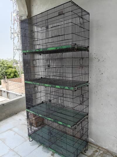 Master Cage Birds Cage